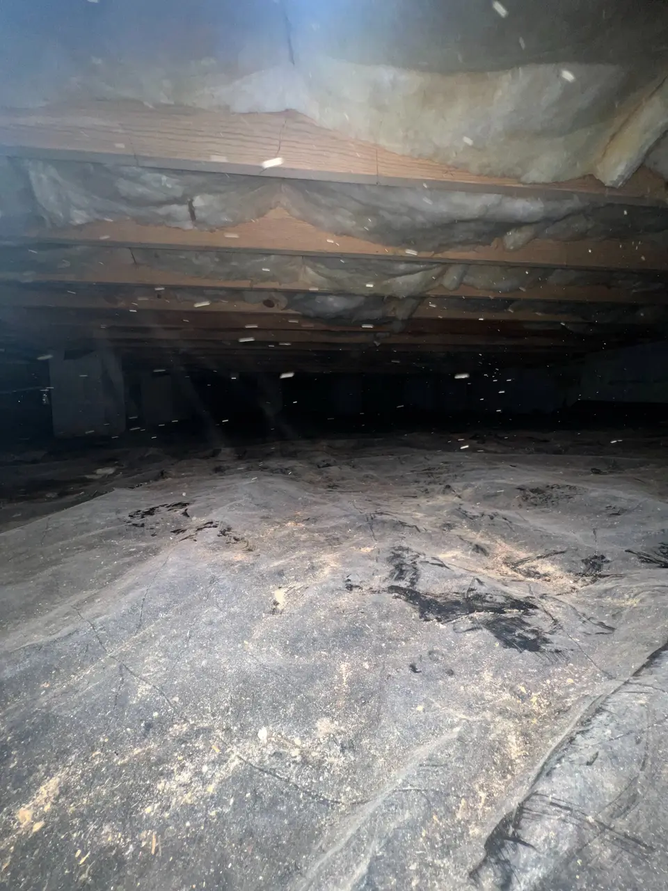 Unfinished crawlspace with insulated floor joists and brick foundation wall before encapsulation