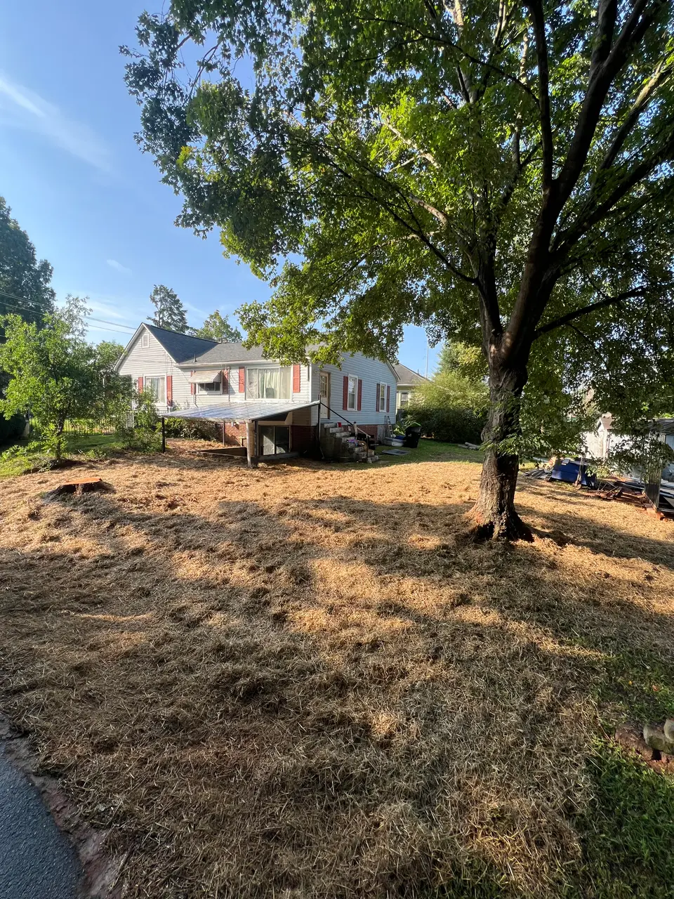 Graded backyard with fresh seed and straw after the renovation
